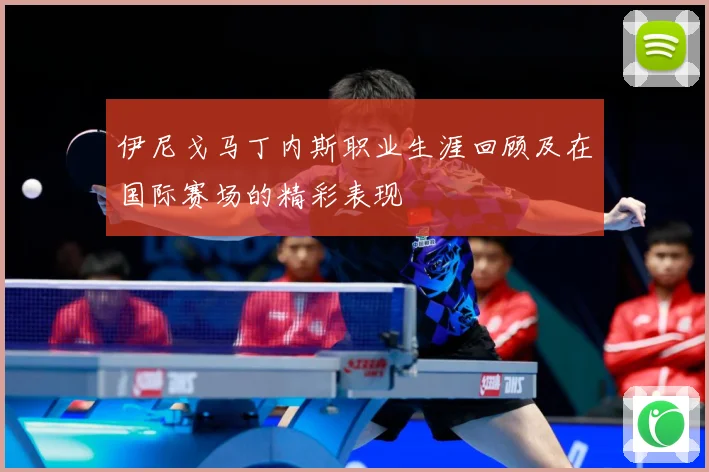 伊尼戈马丁内斯职业生涯回顾及在国际赛场的精彩表现